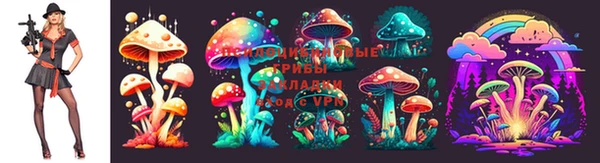 ешки Лагань
