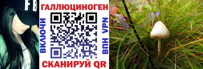 Галлюциногенные грибы ЛСД где продают Николаевск-на-Амуре